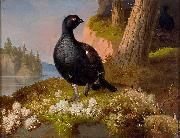 Ferdinand von Wright Black Grouses 1864 oil painting reproduction
